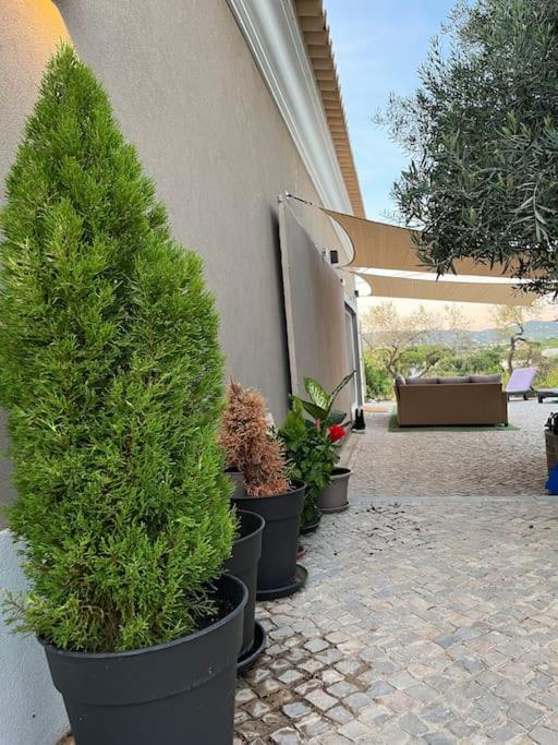 Quinta Da Alfarrobeira Peaceful Countryside Stay FAO Buitenkant foto