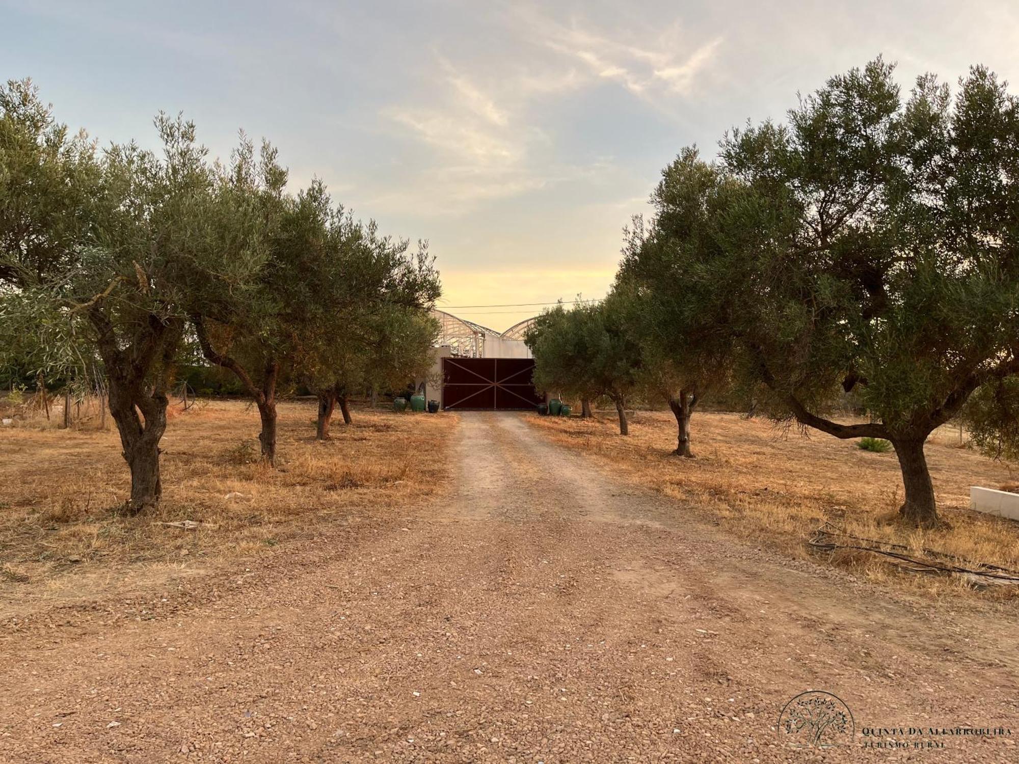 Quinta Da Alfarrobeira Peaceful Countryside Stay FAO Buitenkant foto